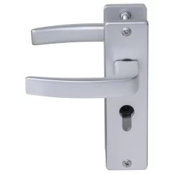 NEMEF Veiligheidsbeslag KS Met Kerntrekbeveiliging SKG 3-sterren Achterdeur 55 Mm -Huishoudapparatuur 41 348