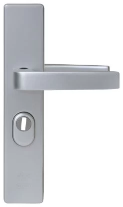 NEMEF Veiligheidsbeslag LS Met Kerntrekbeveiliging SKG 3-sterren Achterdeur 55 Mm